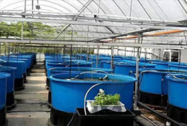 水產(chǎn)養(yǎng)殖用水源熱泵，恒溫冷暖兩用，耗電低